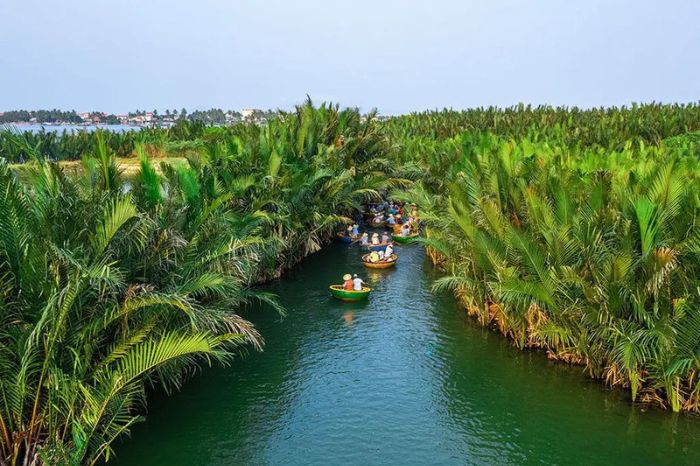 Rừng Dừa Bảy Mẫu có phù hợp cho trẻ em không