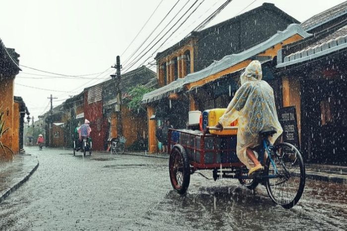 Đi rừng dừa Bảy Mẫu mùa mưa có đẹp không
