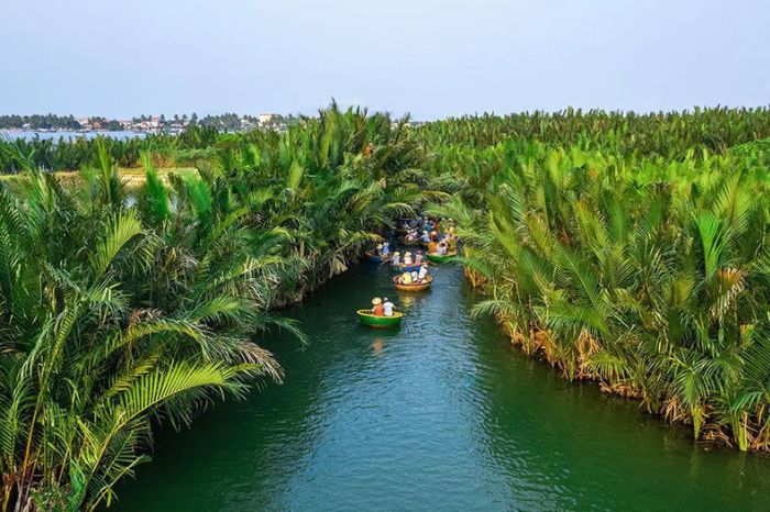 Tour Rừng Dừa Bảy Mẫu phù hợp cho team building