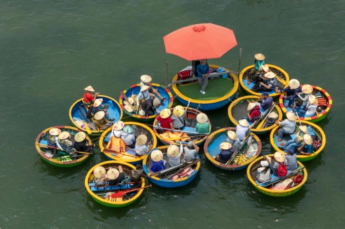 Tour Rừng Dừa Bảy Mẫu phù hợp cho team building